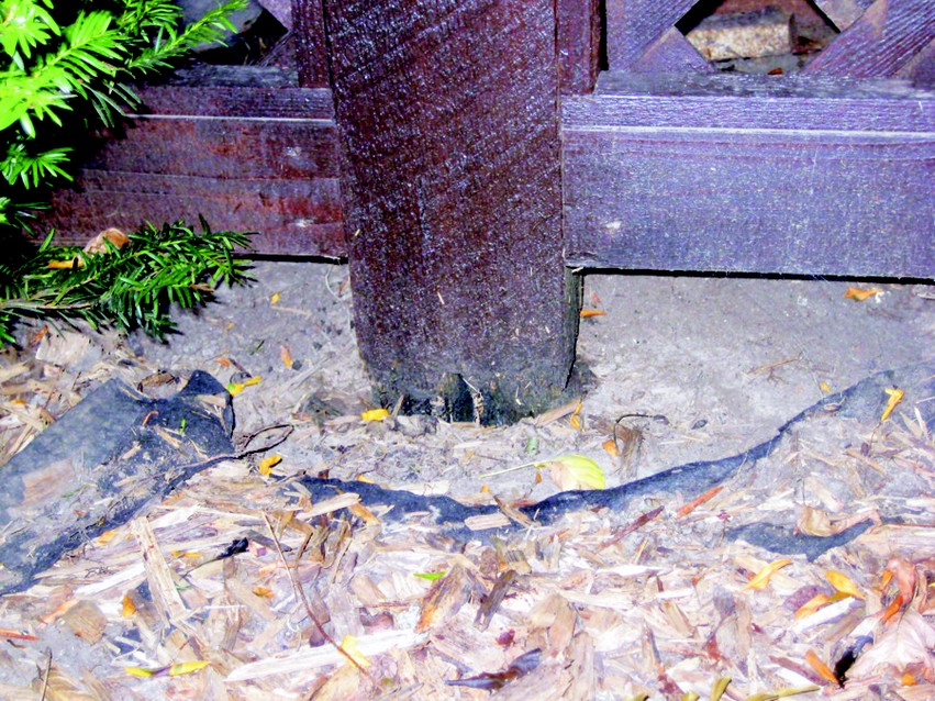 Deck repair: Two of the deck posts that rotted where their bottom ends rested on footings. Soil held moisture against the bottom of the posts creating an ideal environment for rot.