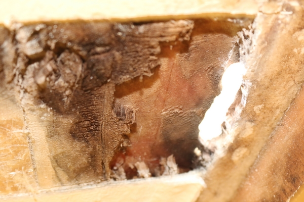 The rotted core exposed beneath the fiberglass skin.