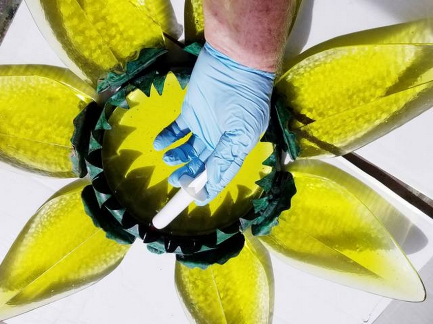 injecting epoxy into sunflower