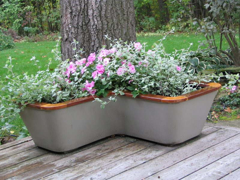 The planter box later that summer, with flowers in full bloom.